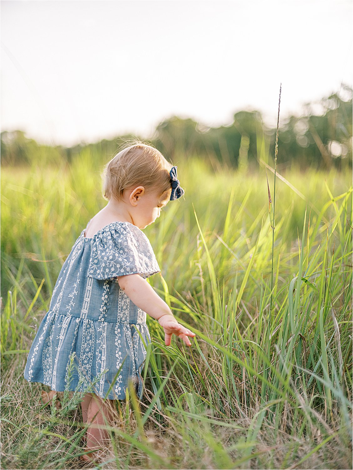 Summer Maryland Family Session on Film by Maryland & Destination Film Family Photographer Renee Hollingshead at Soldier's Delight