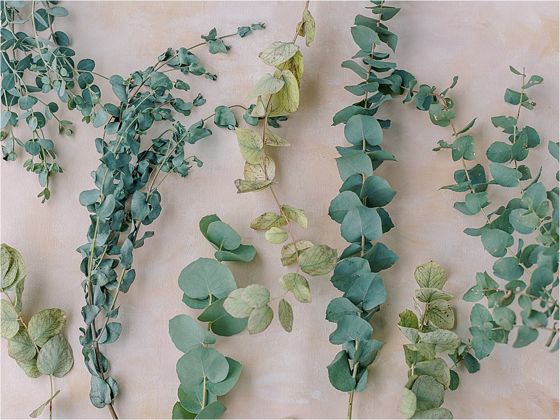 Eucalyptus variations at Fall Virtual Floral Workshop with Ever After Floral Design in South Florida