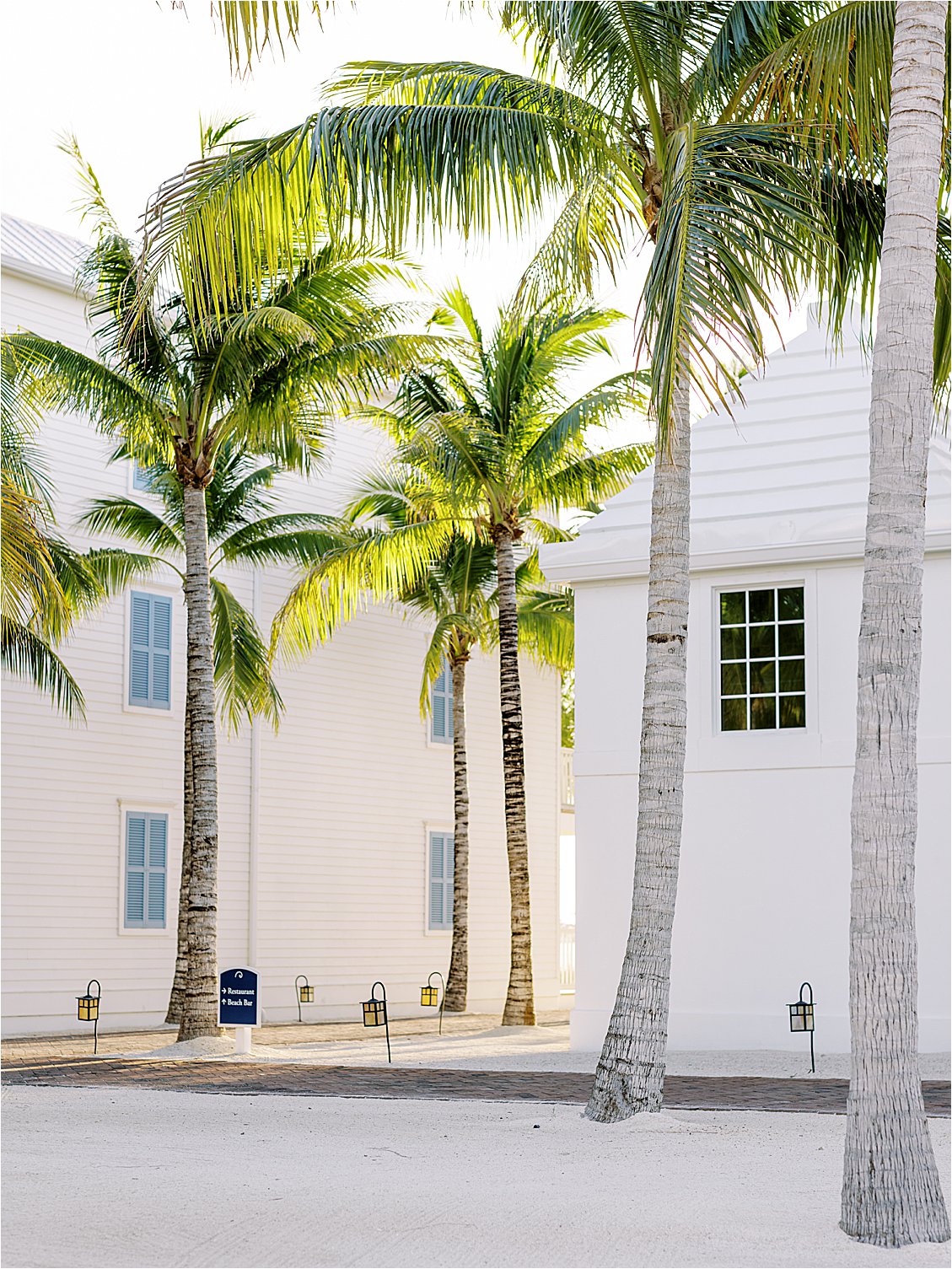Palm Trees at Isla Bella Resort in Marathon Key with Florida + Destination Film wedding photographer Renee Hollingshead.