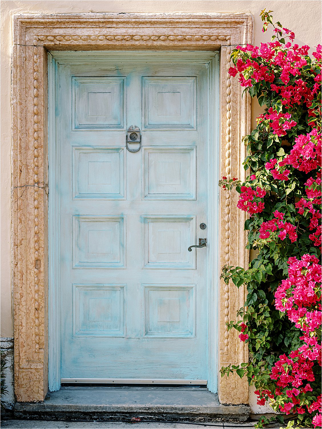 Bright and colorful bougainvillea at Palm Beach Engagement Session Locations photographed by Palm Beach Wedding Photographer Renee Hollingshead