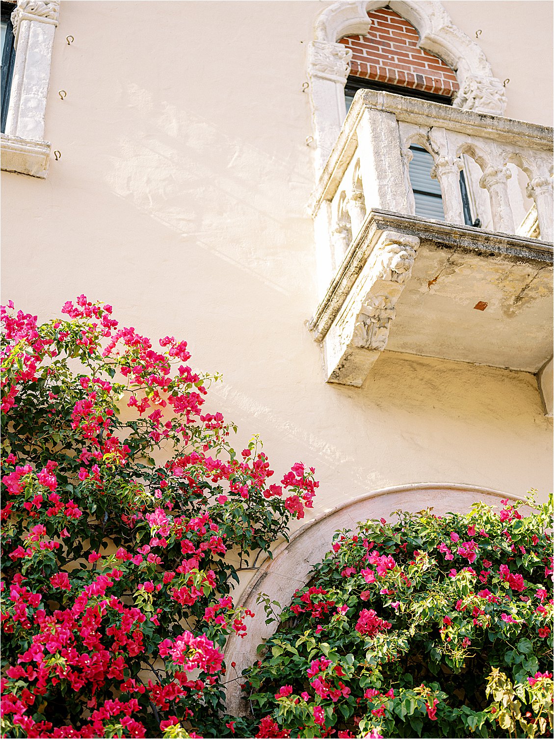 Bright and colorful bougainvillea at Palm Beach Engagement Session Locations photographed by Palm Beach Wedding Photographer Renee Hollingshead