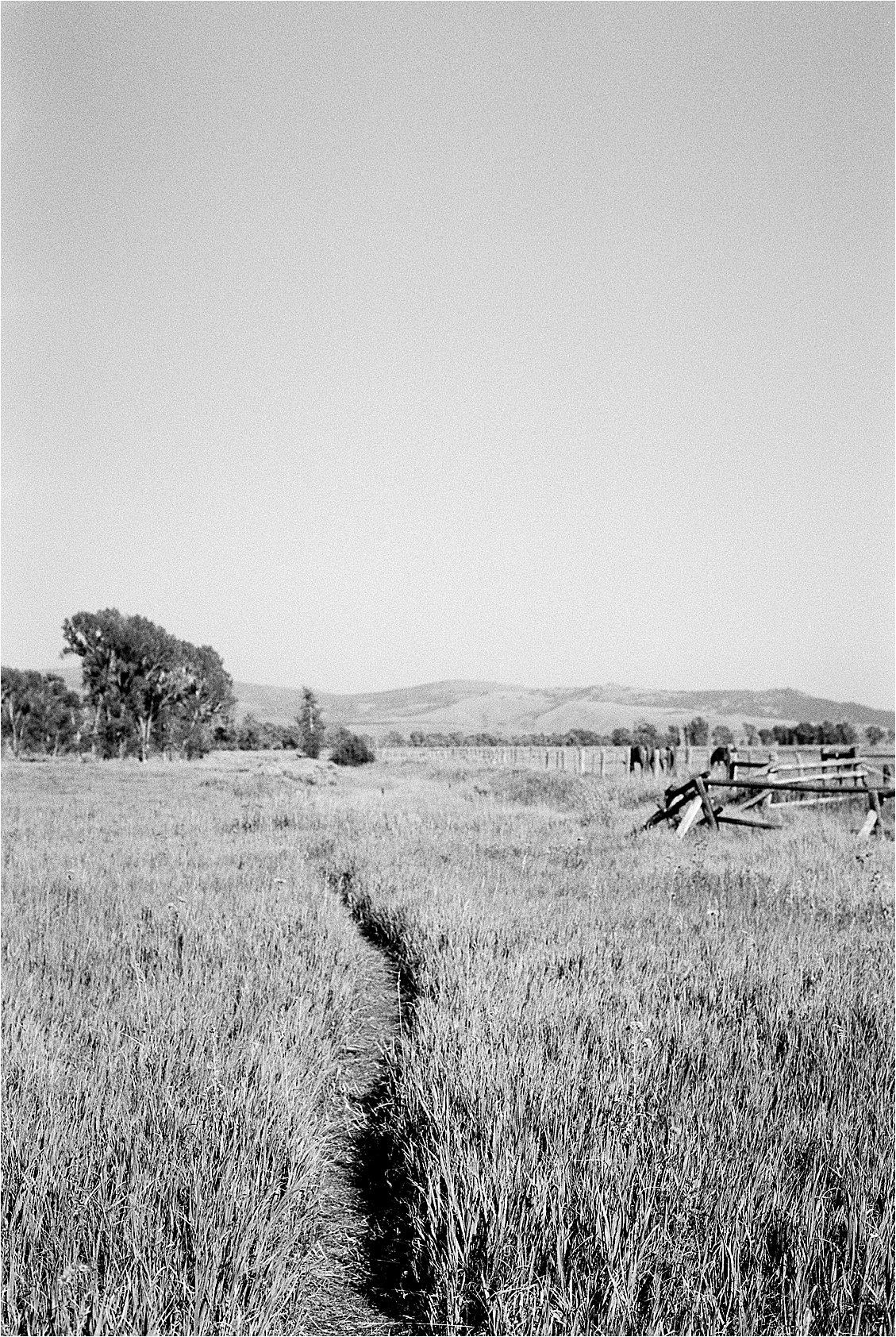 Mormon Row in Grand Teton National Park photographed on black and white film by Renee Hollingshead