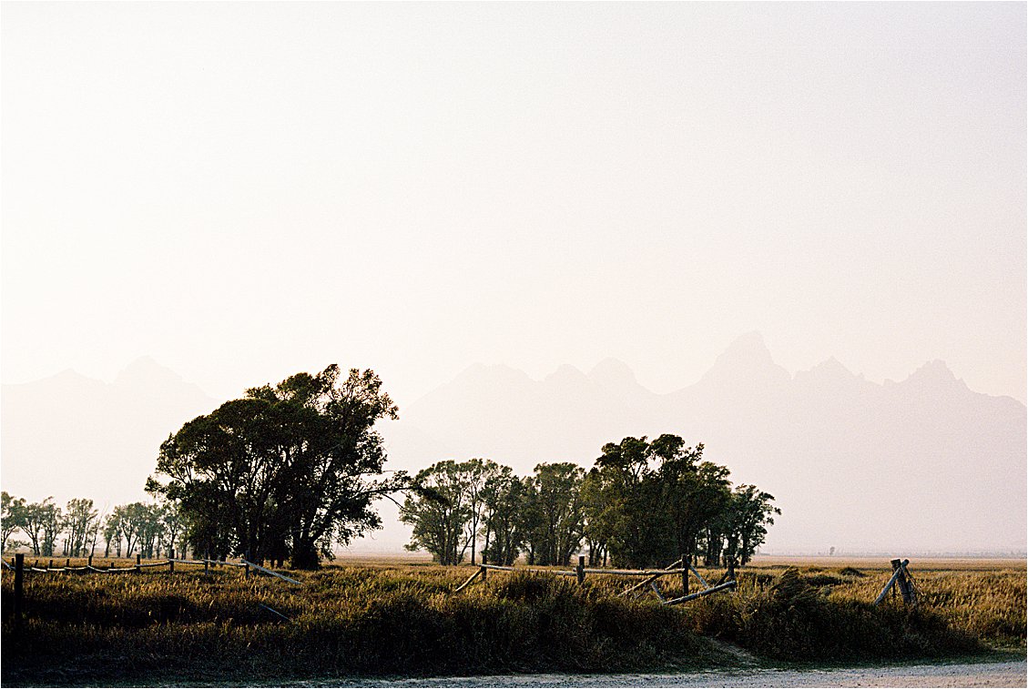 Side of the road and summer haze in Grand Teton National Park photographed by film wedding photographer Renee Hollingshead