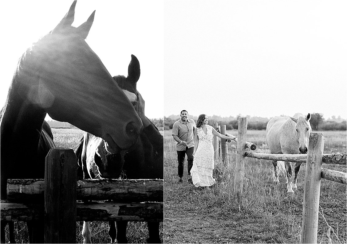 Horses in Jackson Hole Wyoming with film wedding photographer Renee Hollingshead