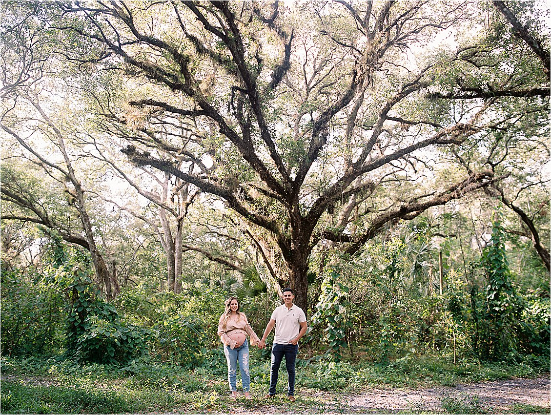 South Florida maternity session under large intertwining trees with film photographer Renee Hollingshead