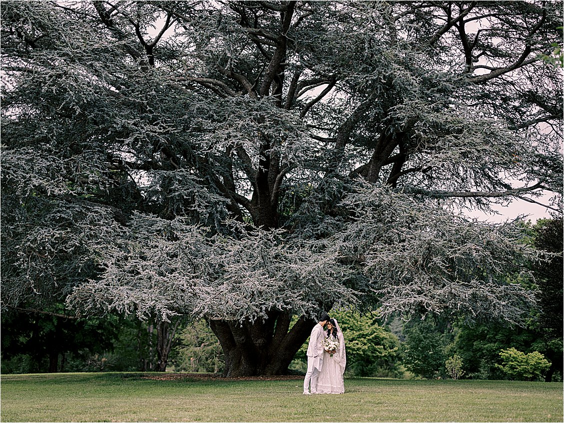 Bride and Groom standing under Blue Atlas Tree at Maymont Botanical Gardens in RVA