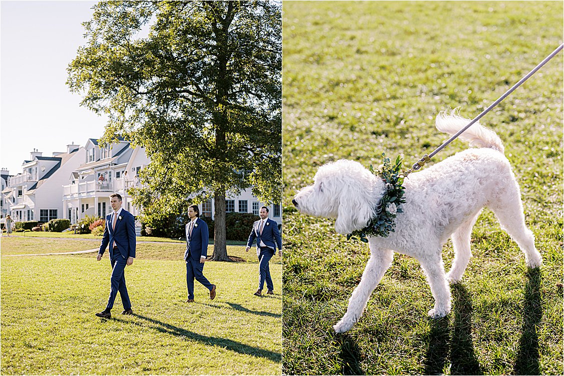 Groomsmen and Dog of Honor walk to wedding ceremony