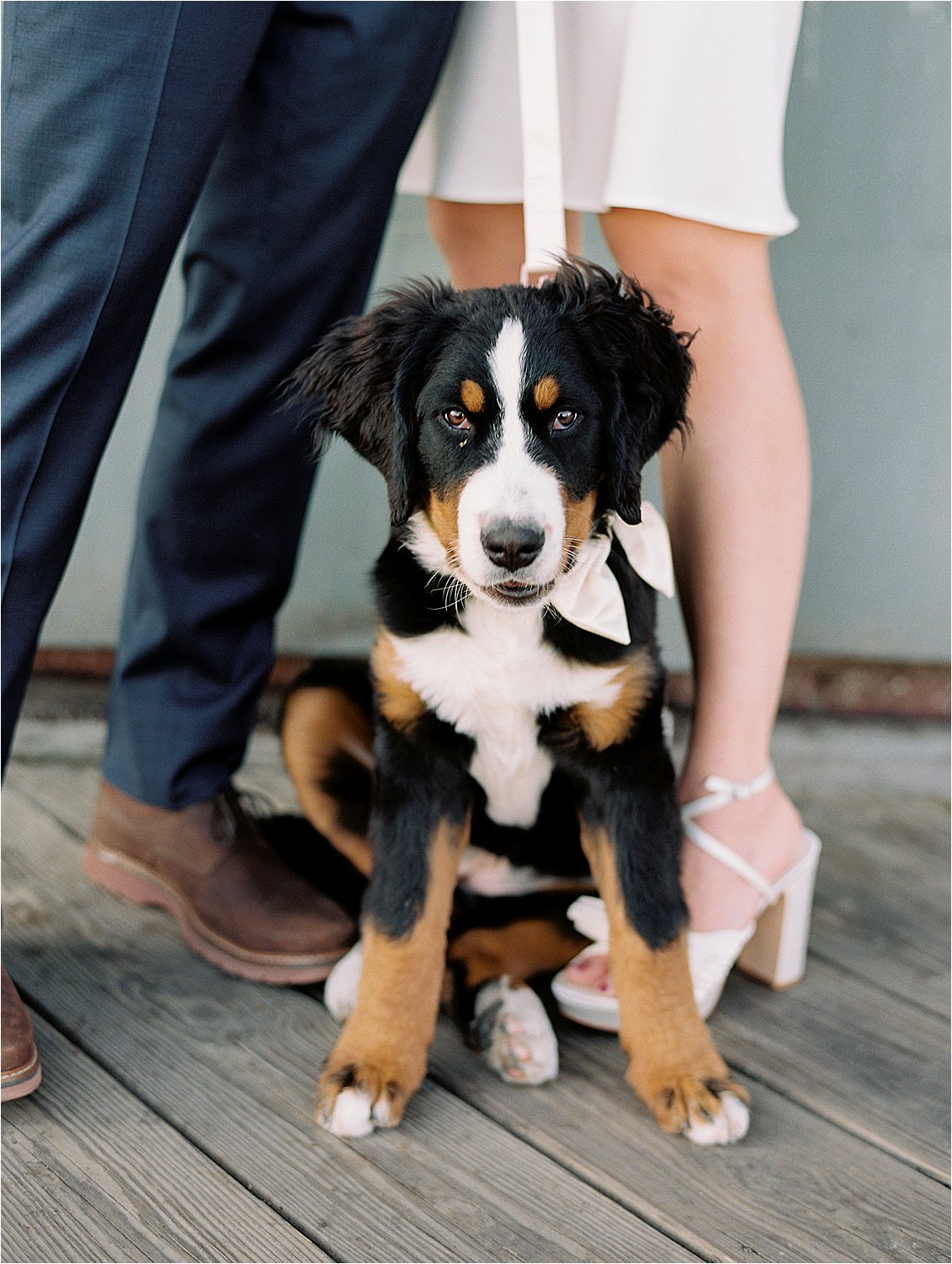 Fells Point Engagement session with a puppy with film wedding photographer Renee Hollingshead and Pop the Cork Designs