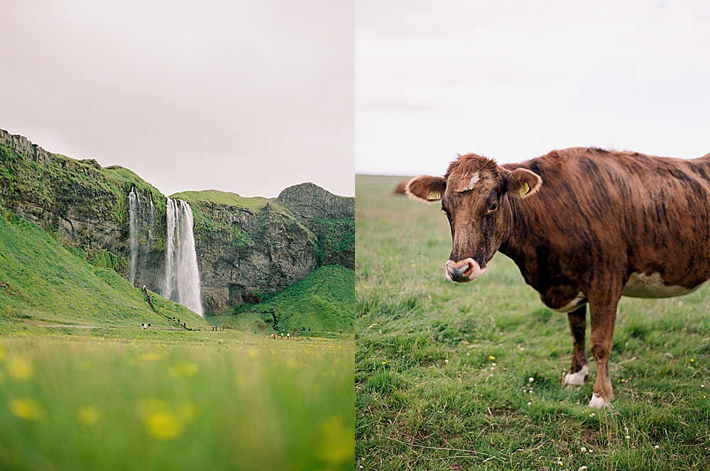 Skogafoss Waterfall in Iceland's South Coast with destination film wedding photographer, Renee Hollingshead