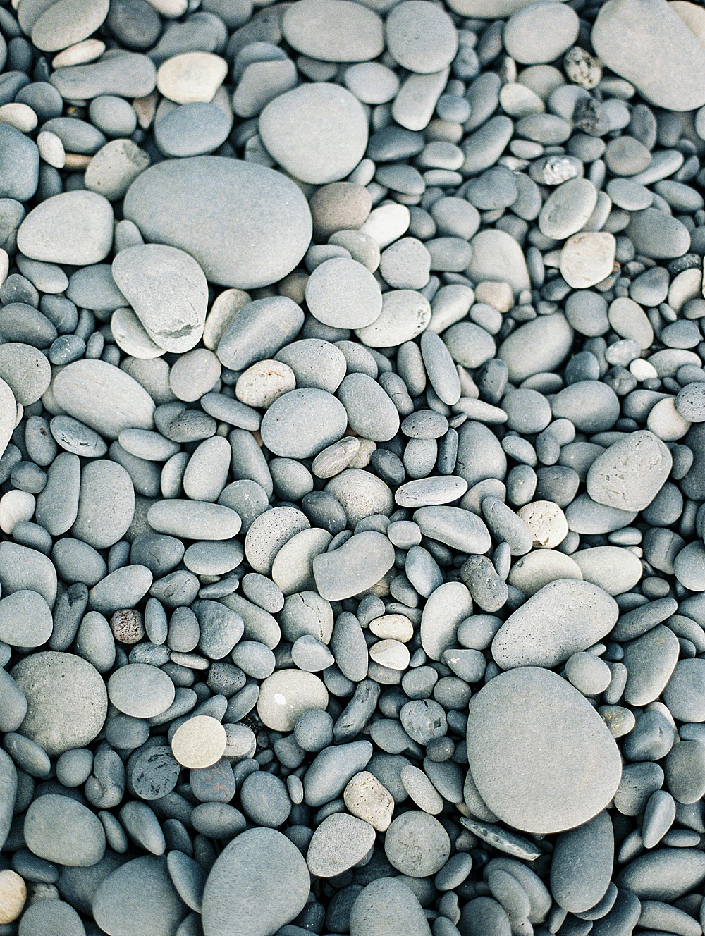 Pebbles at Vik Black Sand Beach in Iceland on film with destination wedding photographer Renee Hollingshead