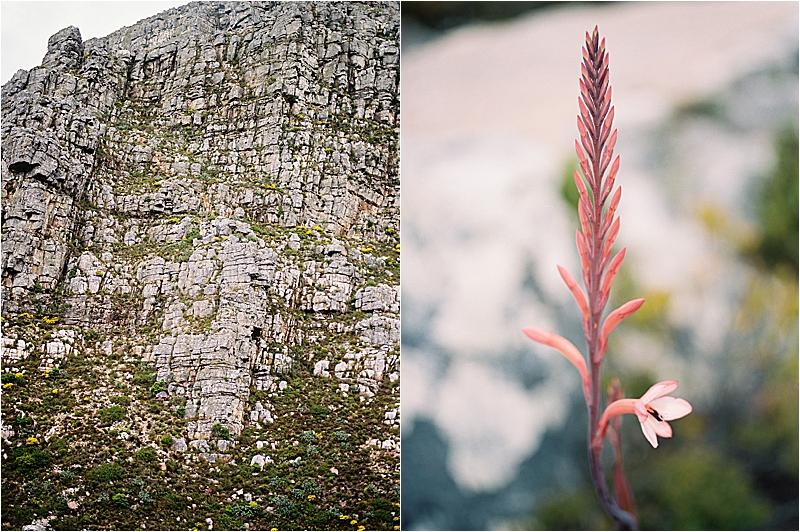 Table Mountain in Cape Town, South Africa with film destination wedding and travel photographer, Renee Hollingshead