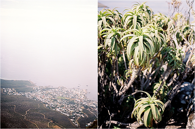 Stunning views in Cape Town, South Africa with film destination wedding and travel photographer, Renee Hollingshead