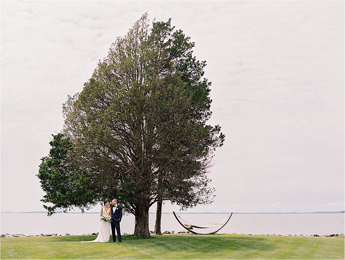 Bride and groom portrait under tree overlooking Chesapeake Bay at Eastern Shore waterfront estate wedding in Oxford Maryland