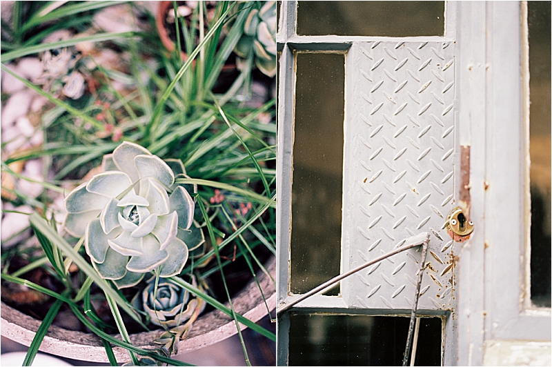Diptych of Johannesburg Airbnb details on film — a succulent plant in a terracotta pot and a close-up of a vintage metal door with a brass lock, captured by destination film photographer Renee Hollingshead