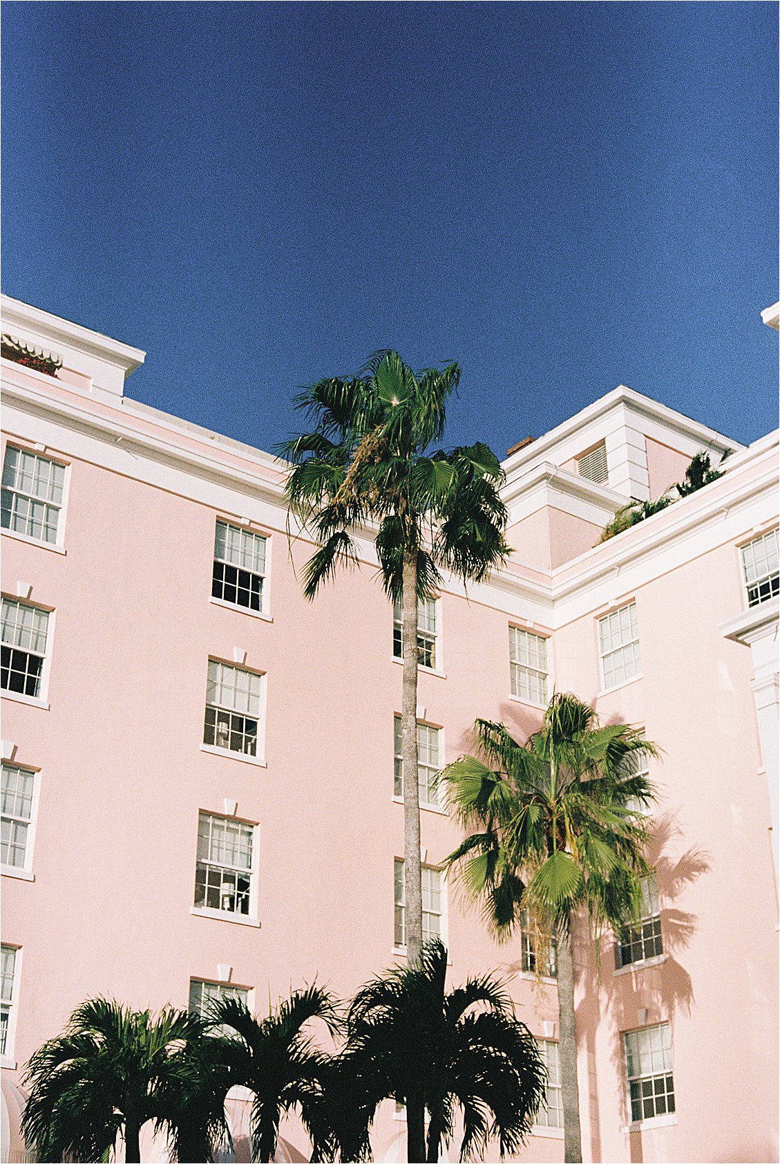 The Colony Hotel Palm Beach blush pink exterior with white trim and tall palm trees set against a deep blue sky, photographed on film