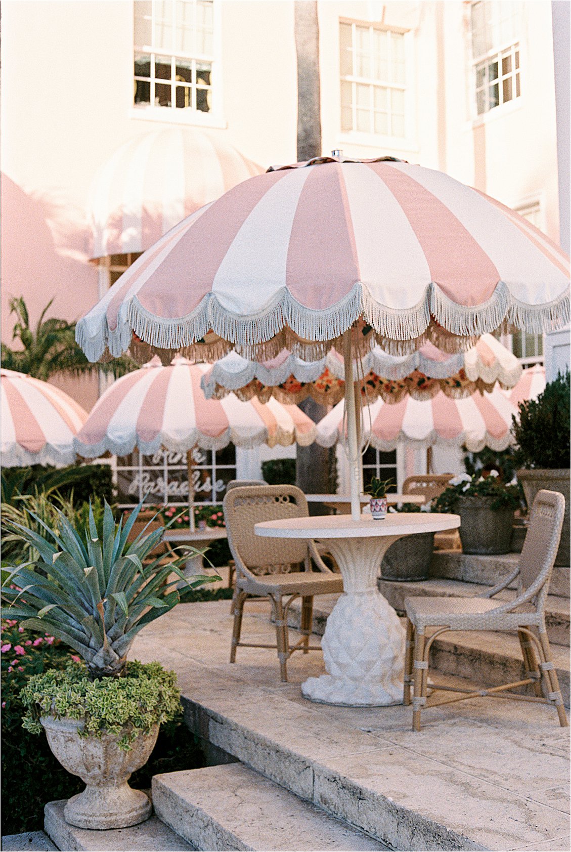 The Colony Hotel Palm Beach outdoor patio with pink and white fringed striped umbrella, pineapple pedestal table, and rattan chairs with Pink Paradise signage in the background, photographed on film