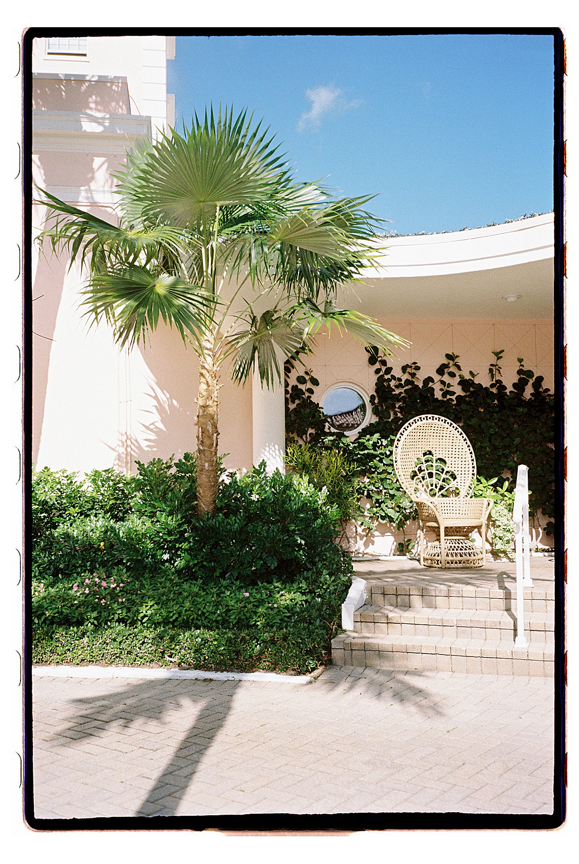 The Colony Hotel Palm Beach side entrance with a fan palm tree casting shadows across the blush pink exterior and a wicker peacock chair on the steps, photographed on film